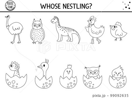 Easter black and white matching activity for children with birds and eggs. Fun outline spring puzzle with hatching nestlings and their moms. Holiday game, printable worksheet or coloring page for 99092635