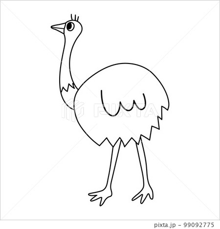 Vector black and white ostrich icon isolated on white background. Cute African bird line illustration for kids Vector black and white ostrich icon isolated on white background. Cute African bird line illustration for kids 99092775