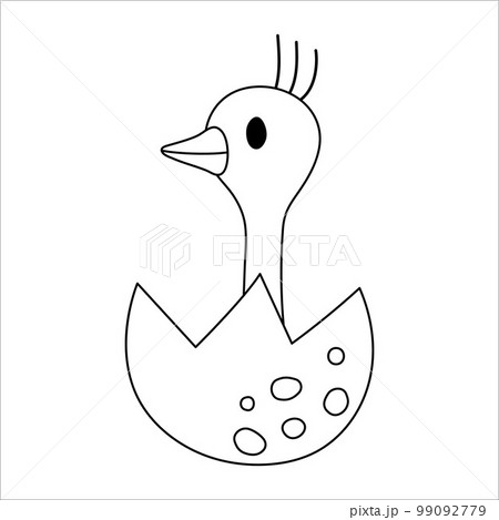 Vector black and white ostrich nestling icon. Little African bird outline illustration. Cute line drawing of just hatched animal sitting in egg shell isolated on white background. Vector black and white ostrich nestling icon. Little African bird outline illustration. Cute line drawing of just hatched animal sitting in egg shell isolated on white background. 99092779