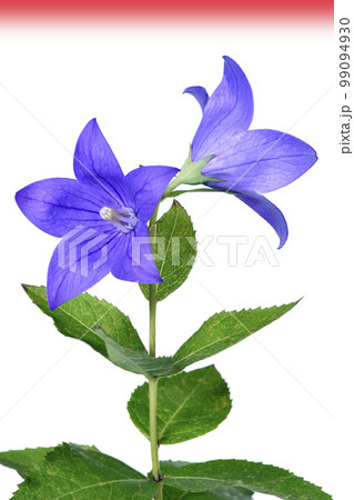 戦争と平和イメージ 軍拡競争にゴール無し 戦争と平和イメージ 軍拡競争にゴール無し 99094930