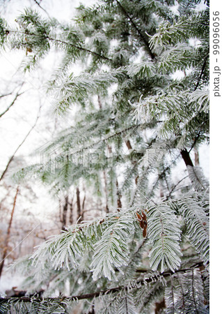 winter mood 99096056