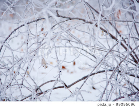 winter mood 99096096