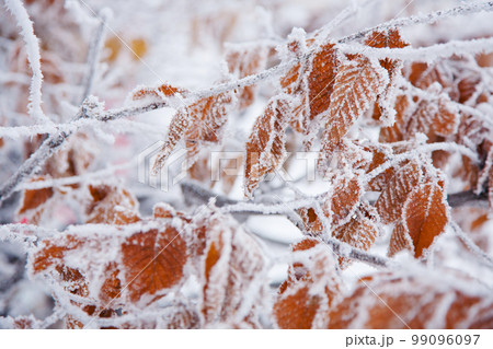 winter mood winter mood 99096097