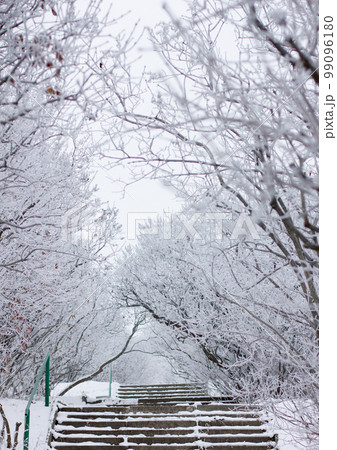 winter mood winter mood 99096180
