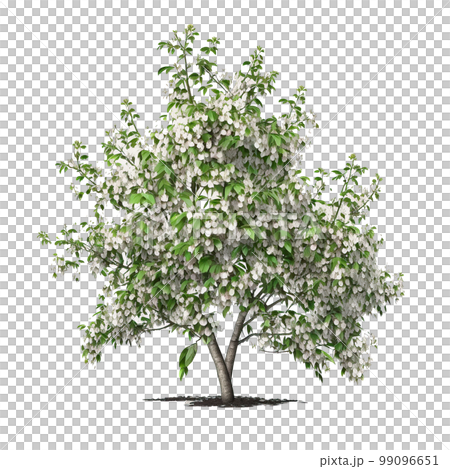 Apple Tree Isolated. Illustration Generative  AI 99096651