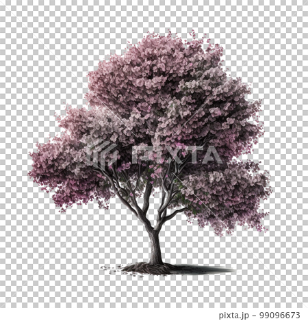 Cherry Blossom Tree Isolated. Illustration Generative AI 99096673