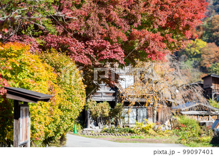【白川郷】見頃の紅葉と合掌造りの村歩き 【白川郷】見頃の紅葉と合掌造りの村歩き 99097401