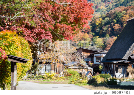 【白川郷】見頃の紅葉と合掌造りの村歩き 【白川郷】見頃の紅葉と合掌造りの村歩き 99097402