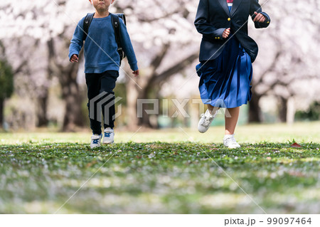 13 years old  &  8 years old 99097464
