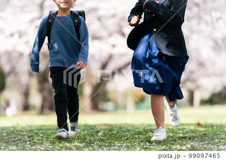 13 years old  &  8 years old 99097465
