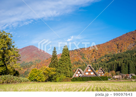 【白川郷】見頃の紅葉と三つ子の合掌造り 【白川郷】見頃の紅葉と三つ子の合掌造り 99097643