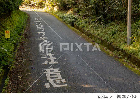 奄美大島　警戒標識　アマミノクロウサギ 99097763