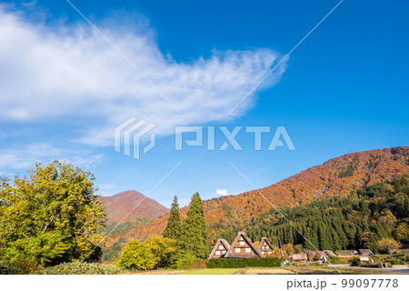 【白川郷】見頃の紅葉と三つ子の合掌造り 【白川郷】見頃の紅葉と三つ子の合掌造り 99097778