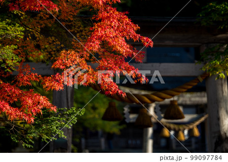 【白川郷】見頃の紅葉と白川八幡神社 【白川郷】見頃の紅葉と白川八幡神社 99097784