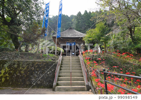 宮原観音 99098549