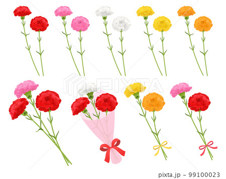 カーネーションのセット カーネーションのセット 99100023