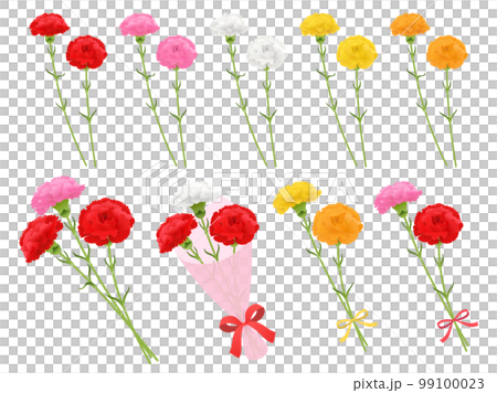 カーネーションのセット カーネーションのセット 99100023