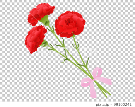 康乃馨花束_紅色 康乃馨花束_紅色 99100241