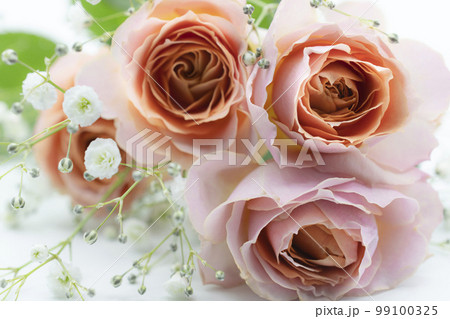 薔薇の花束 薔薇の花束 99100325