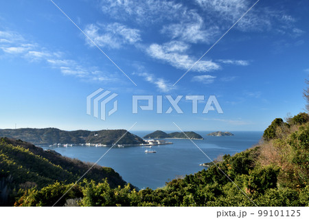 大崎浜(白木の浜) 【和歌山県海南市下津町】 大崎浜(白木の浜) 【和歌山県海南市下津町】 99101125