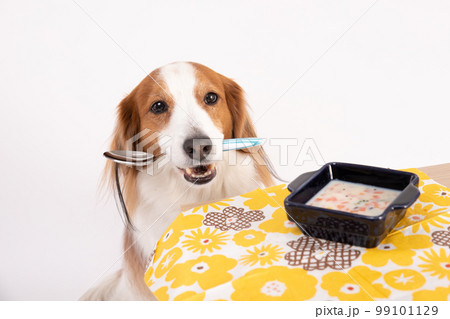 手作りスープを目の前にスプーンを咥えるコーイケルホンディエ 99101129