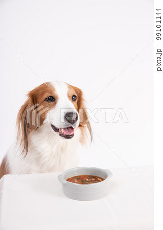 手作り野菜スープを笑顔で待つコーイケルホンディエ 99101144