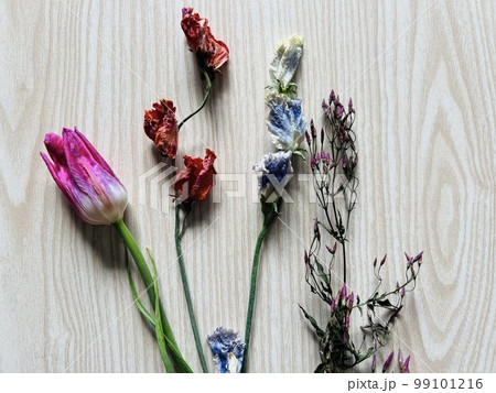 ドライフラワー　花束 99101216