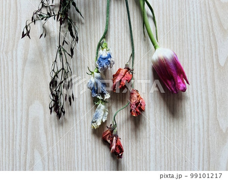 ドライフラワー　花束 99101217