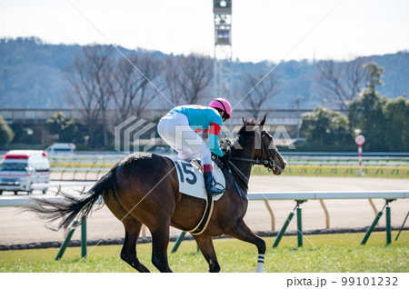 競馬場、競走馬 99101232