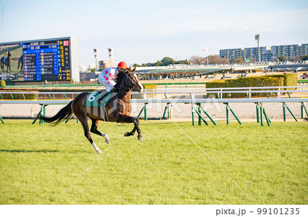 競馬場、競走馬 競馬場、競走馬 99101235
