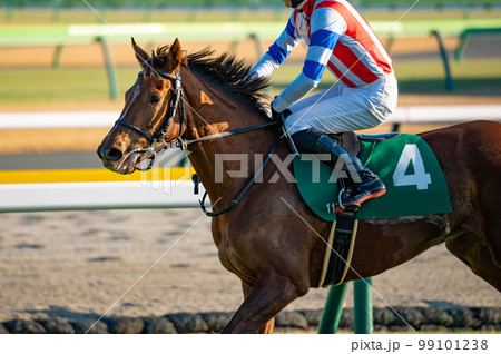 競馬場、競走馬 99101238