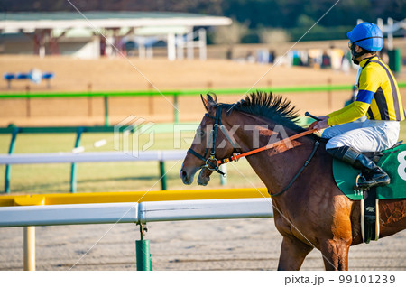 競馬場、競走馬 99101239