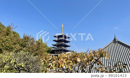 兵庫県宝塚市にある子宝で知られる中山寺の五重塔 兵庫県宝塚市にある子宝で知られる中山寺の五重塔 99101423