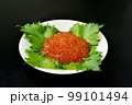 イクラ 99101494