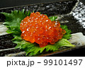 イクラ 99101497