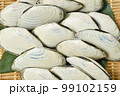白貝 99102159