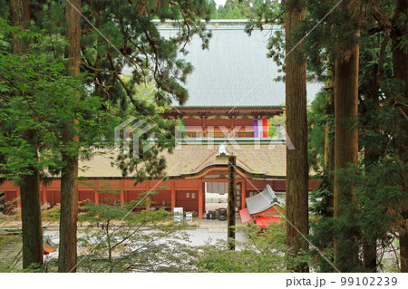 比叡山延暦寺 根本中堂 比叡山延暦寺 根本中堂 99102239
