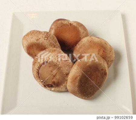 大きな椎茸 大きな椎茸 99102659