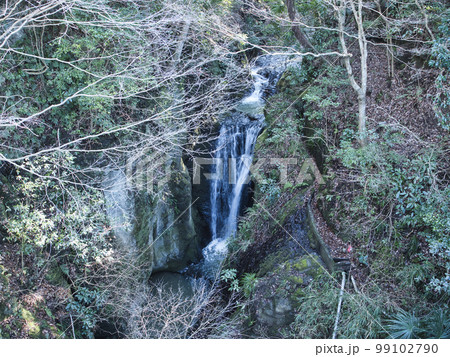 冬の地蔵堂の滝 冬の地蔵堂の滝 99102790