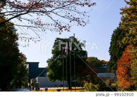 宇都宮美術館 99102910