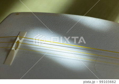 三味線　部品　糸　 99103662