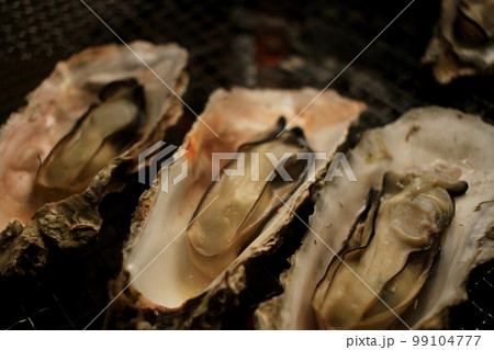 三陸の美味し牡蠣 三陸の美味し牡蠣 99104777
