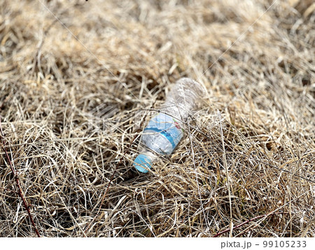 枯草の中に落ちているペットボトル 99105233