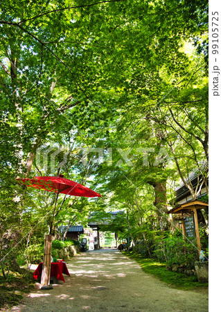 新緑の湖南三山 長寿寺 新緑の湖南三山 長寿寺 99105725