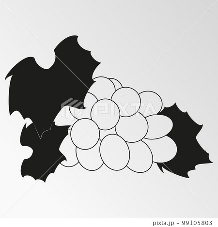 Vector illustration on the theme grapes 99105803