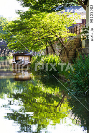 新緑の季節の八幡堀 新緑の季節の八幡堀 99105982