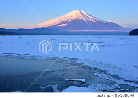 紅富士 紅富士 99108044