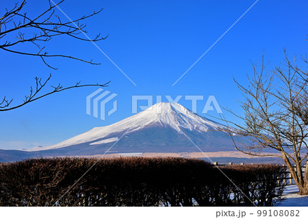 冬の富士山 99108082