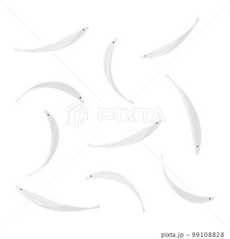 しらすのベクターイラスト。 99108828