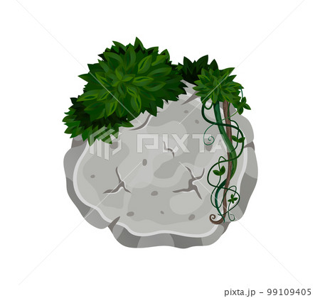 Exotic Stone Lianas Composition 99109405